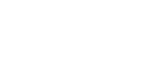 Deluxe House